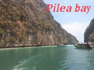 Pilea Bay